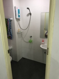 The shower is just a head on the wall, no separate stall